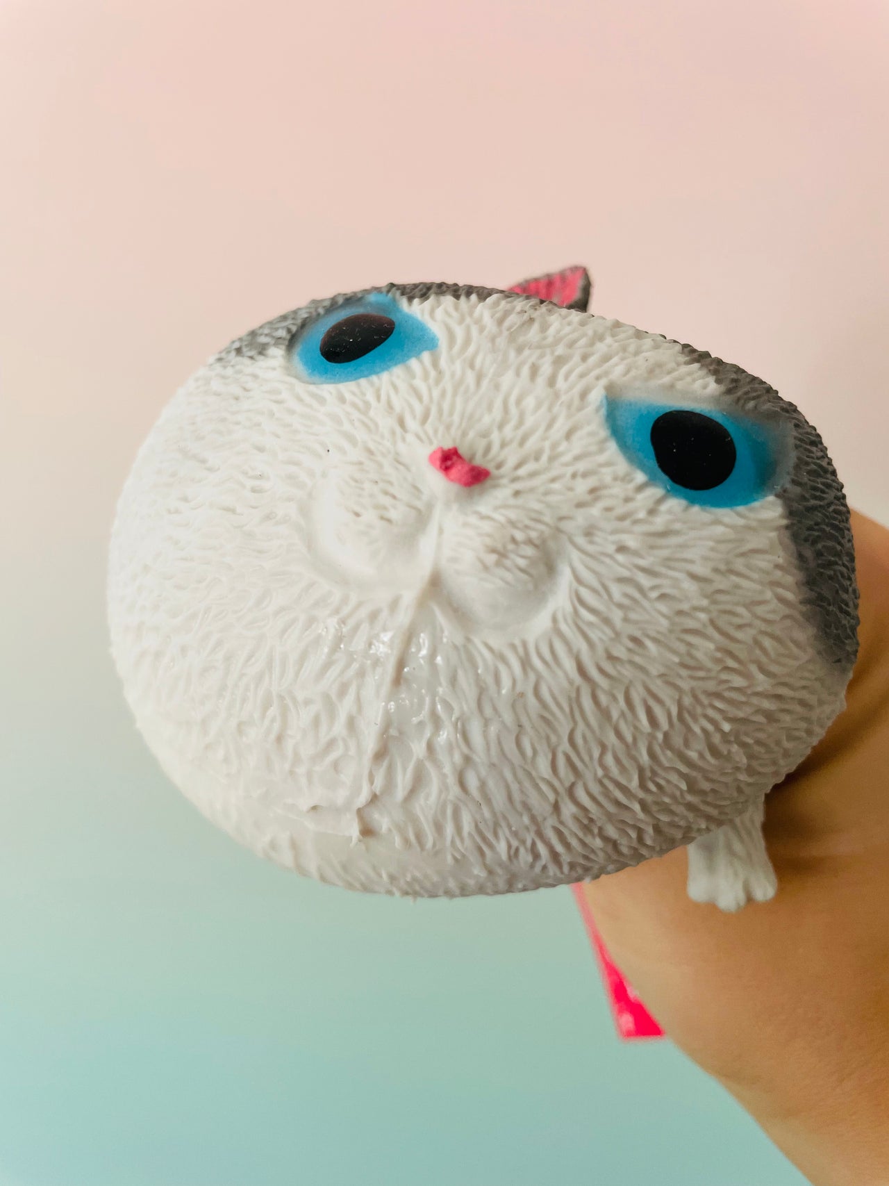 🤍🐱 Squidgy Cat | Grey & White Super Soft Sensory Stress Relief Fidget Toy ✨