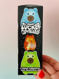 🩷🦫 Scrunchems Mini Sugar Capybaras | 3 Pack Gooey Gel Sensory Squishies ✨