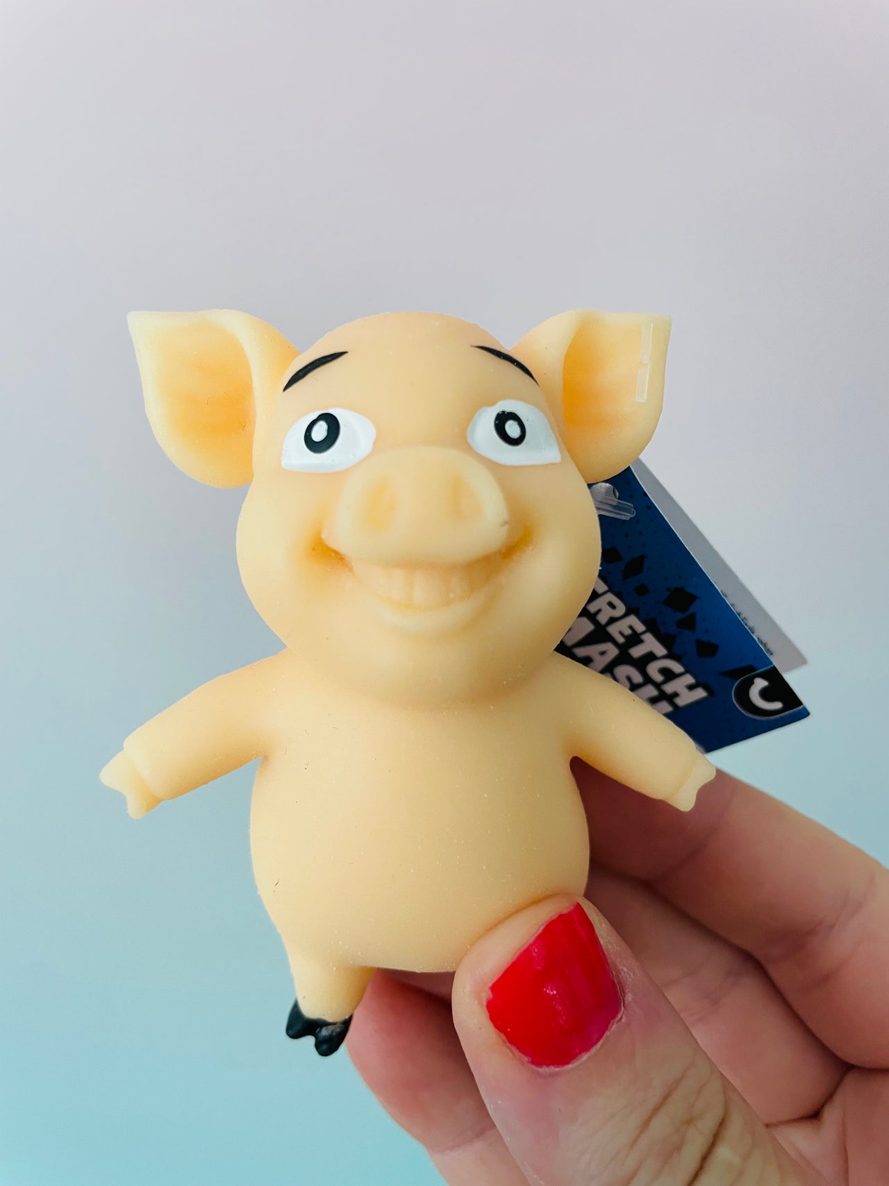 🤎🐷 Stretch 'N Smash Mini Pig | Beige Stretchy Sensory Stress Relief Fidget Toy ✨