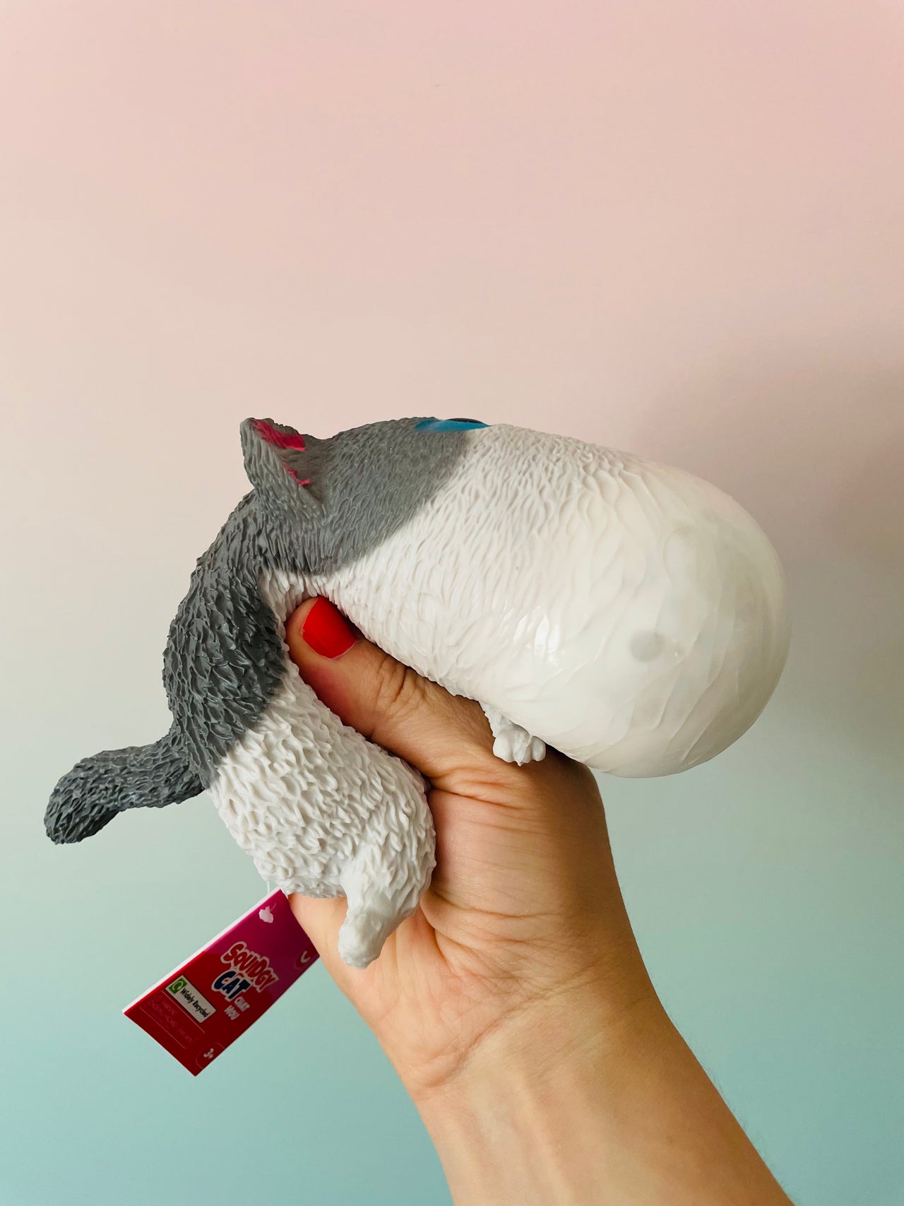🤍🐱 Squidgy Cat | Grey & White Super Soft Sensory Stress Relief Fidget Toy ✨