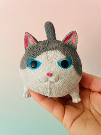 🤍🐱 Squidgy Cat | Grey & White Super Soft Sensory Stress Relief Fidget Toy ✨