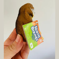 🦥🤎 Brown Cute Squidgy Sloth Sensory Toy ✨