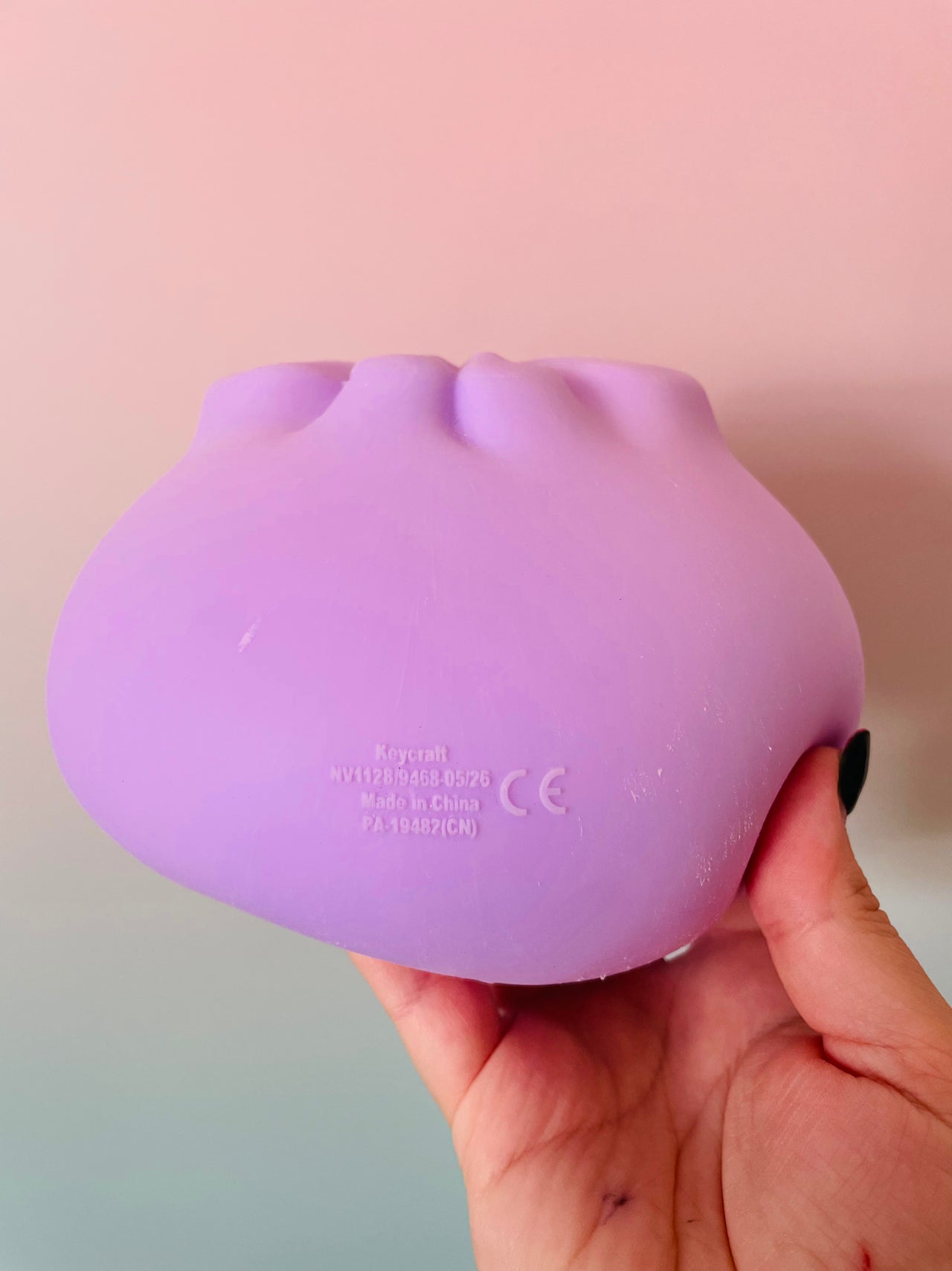 🥟✨ The Big Squij Wonton | Jumbo Slow-Rise Dumpling Squishy