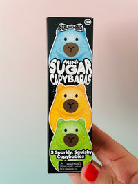 🩷🦫 Scrunchems Mini Sugar Capybaras | 3 Pack Gooey Gel Sensory Squishies ✨
