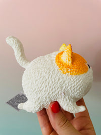 🧡🤍 Squidgy Cat | White & Orange Super Soft Sensory Stress Relief Fidget Toy ✨