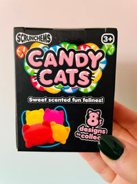Scrunchems Candy Cat - Scented Cat Squishy Toy