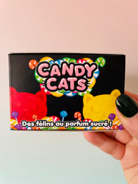 Scrunchems Candy Cat - Scented Cat Squishy Toy