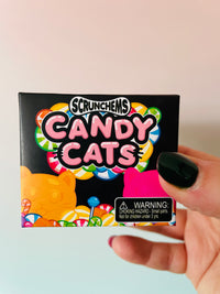 Scrunchems Candy Cat - Scented Cat Squishy Toy