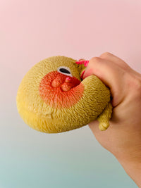 🧡🐱 Squidgy Cat | Ginger Super Soft Sensory Stress Relief Fidget Toy ✨