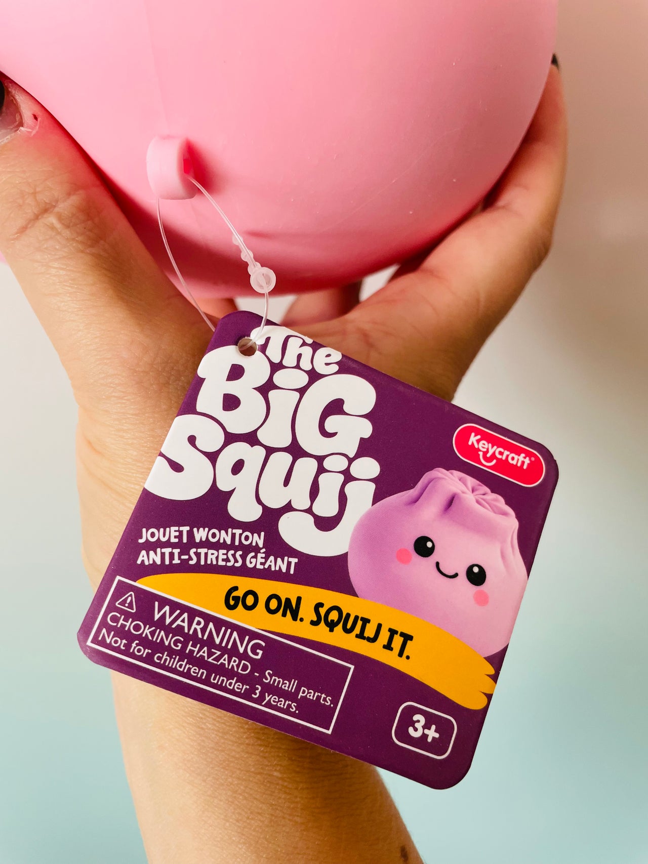 🥟✨ The Big Squij Wonton | Jumbo Slow-Rise Dumpling Squishy