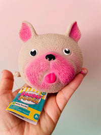 🤍🐶 French Bulldog Squidgy Pooch | Super Soft Squeezy Sensory Stress Relief Fidget Toy ✨