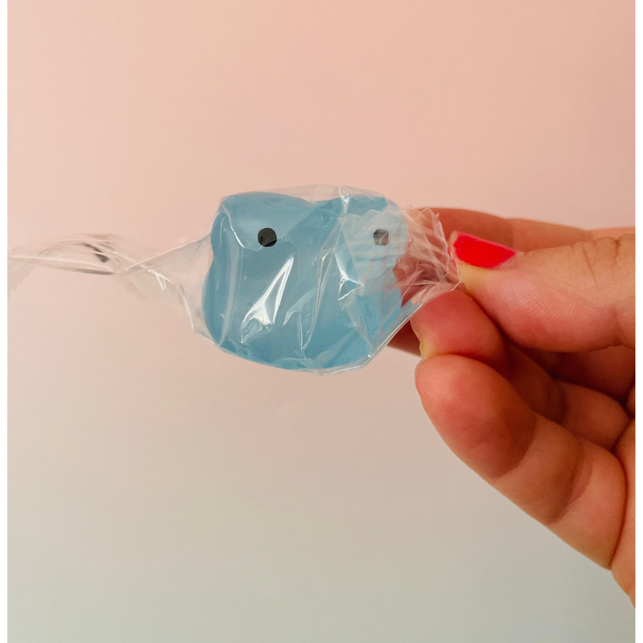Frosted Sugar Maltose Animal Blind Box mystery sensory fidget toy