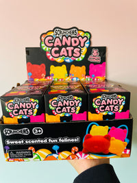Scrunchems Candy Cat - Scented Cat Squishy Toy