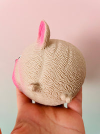 🤍🐶 French Bulldog Squidgy Pooch | Super Soft Squeezy Sensory Stress Relief Fidget Toy ✨