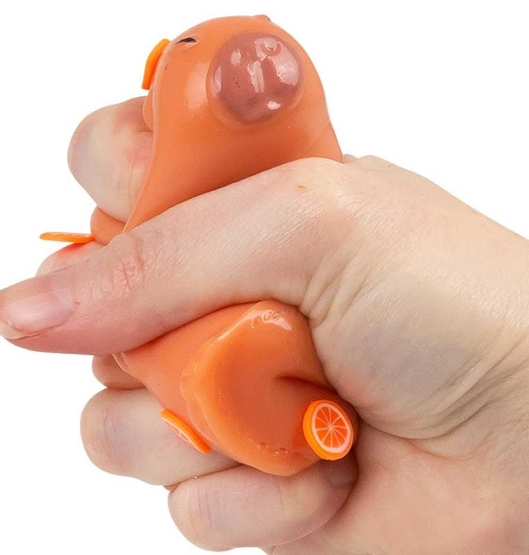 🐹💛 Scrunchems Taba Sticky Squishy Capybara Sensory Toy