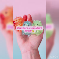 🩷🦫 Scrunchems Mini Sugar Capybaras | 3 Pack Gooey Gel Sensory Squishies ✨