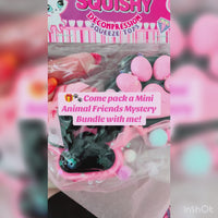 🐱 Neko's Lucky Bag | Mystery Squishy Bundle